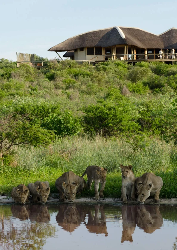 Central Kalahari Attractions