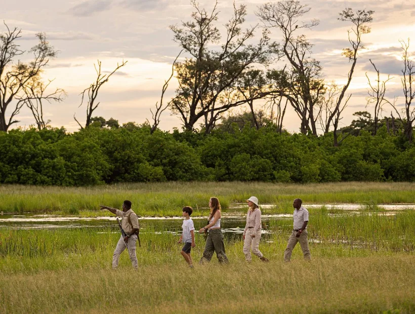 Botswana Walking Safari