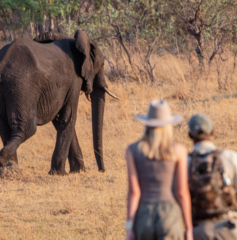 Zimbabwe Walking Safari