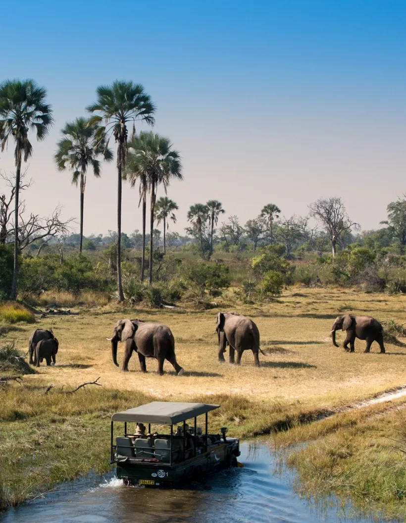 Botswana Attractions