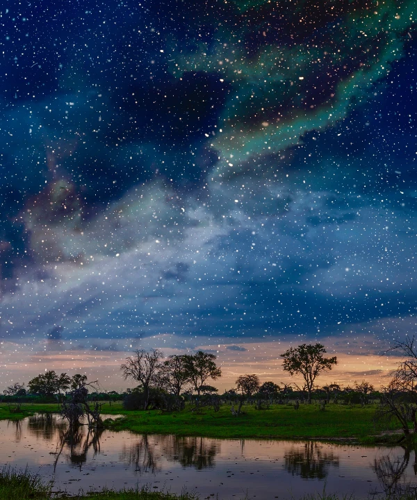 Botswana Travel Guides Night Veiw
