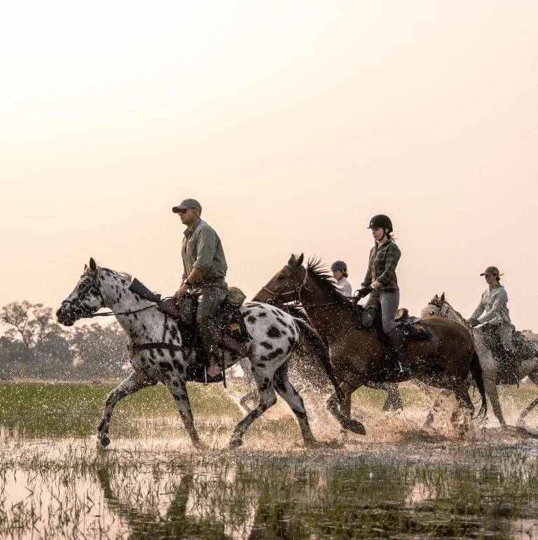 Botswana Travel Guides Horse Riding