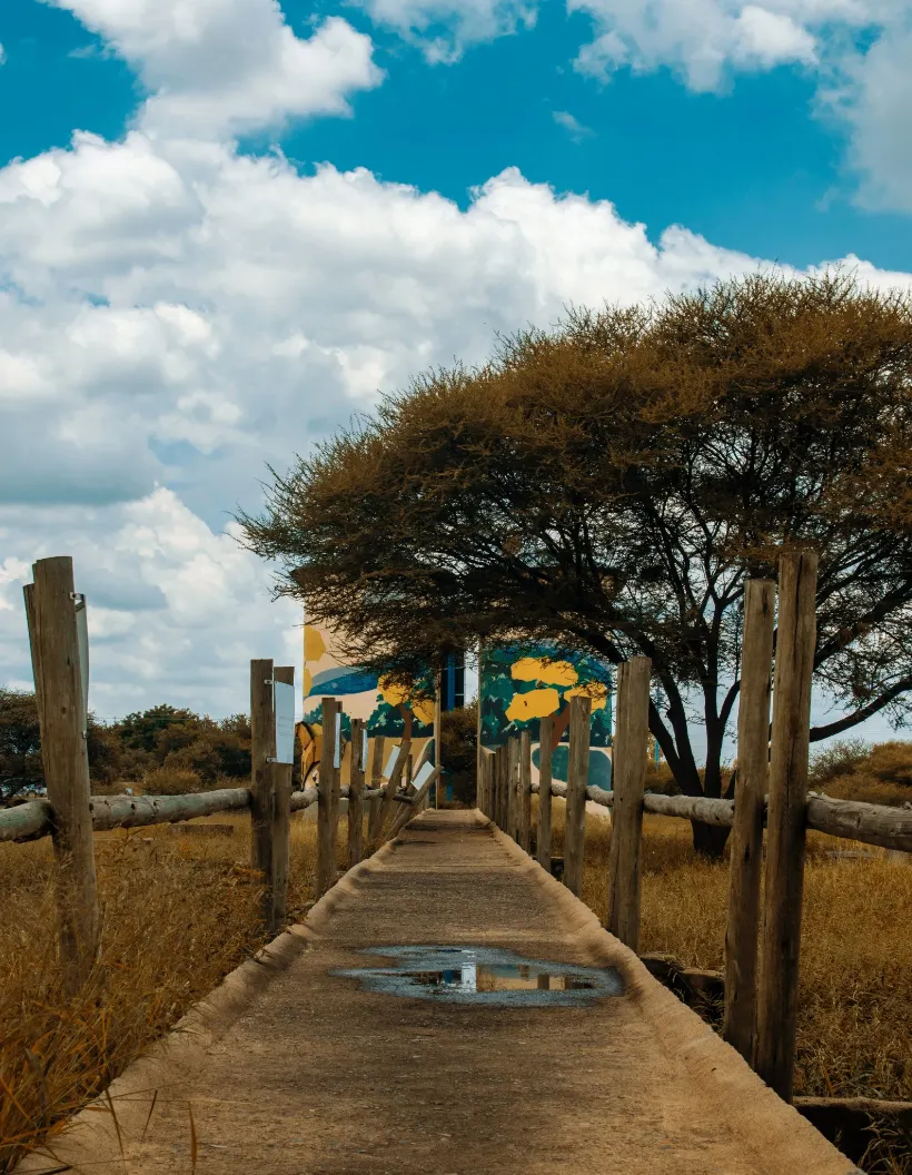 Botswana Travel Guides Lane