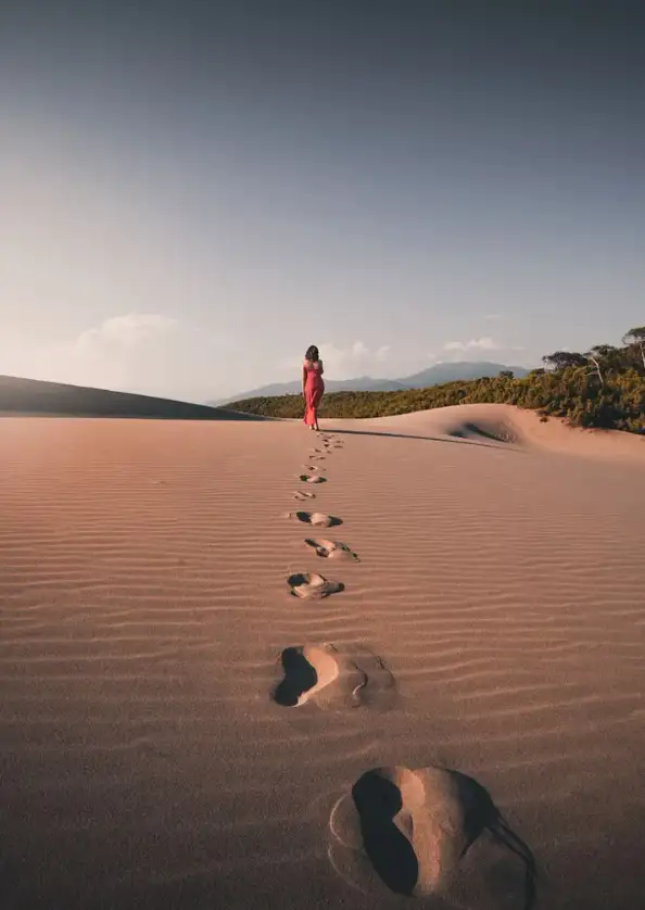 Central Kalahari Desert Walks
