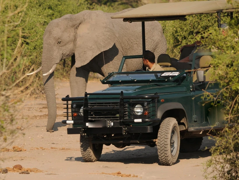 Chobe National Park Game Drive