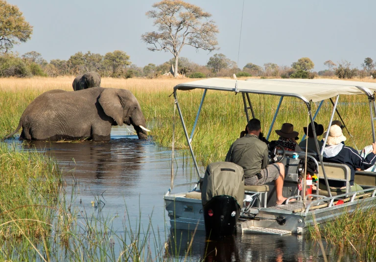 Chobe National Park Day Trip from Victoria Falls, Zimbabwe