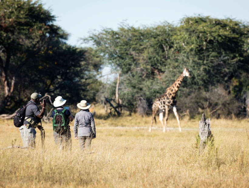 Hwange National Park Day Trip Bush Walk