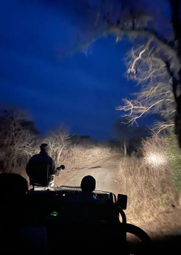 Hwange National Park Night Safari