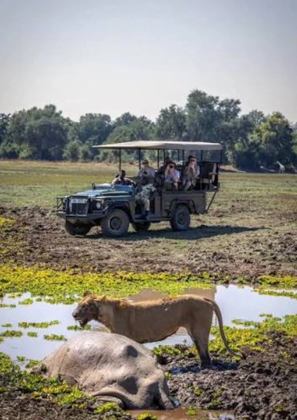 Lusaka Wildlife Drive