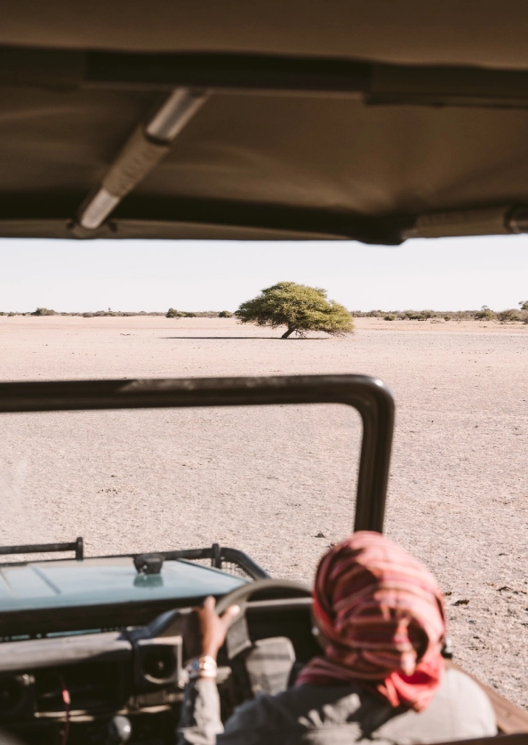 Game Drive