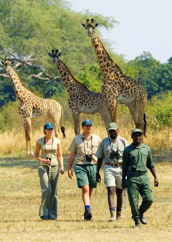 Matobo National Park with Guard