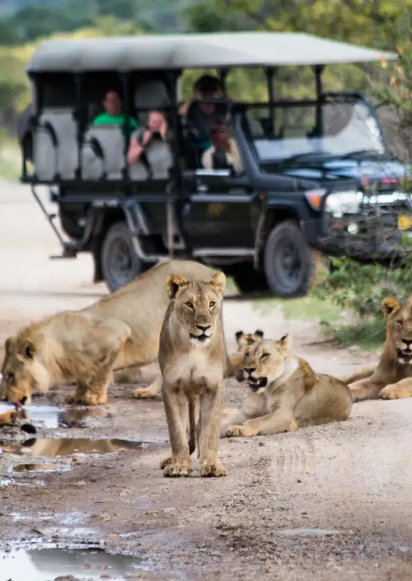Matobo National Park jungle safari