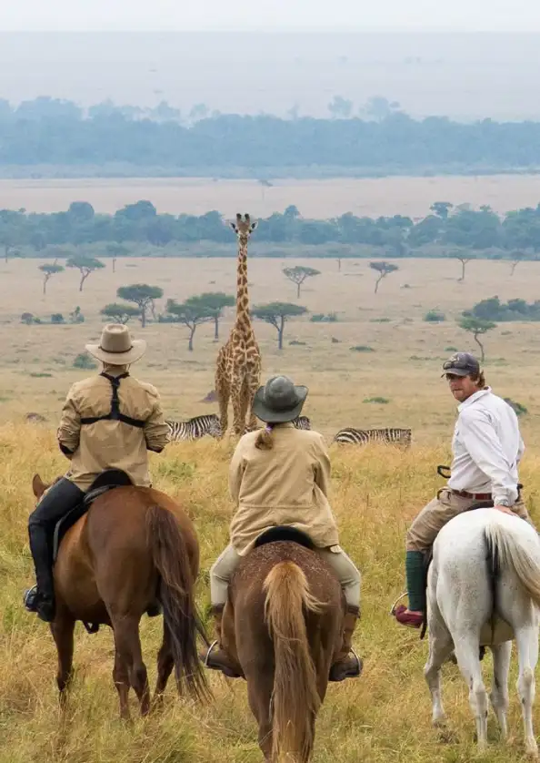 Delta Horse Safari