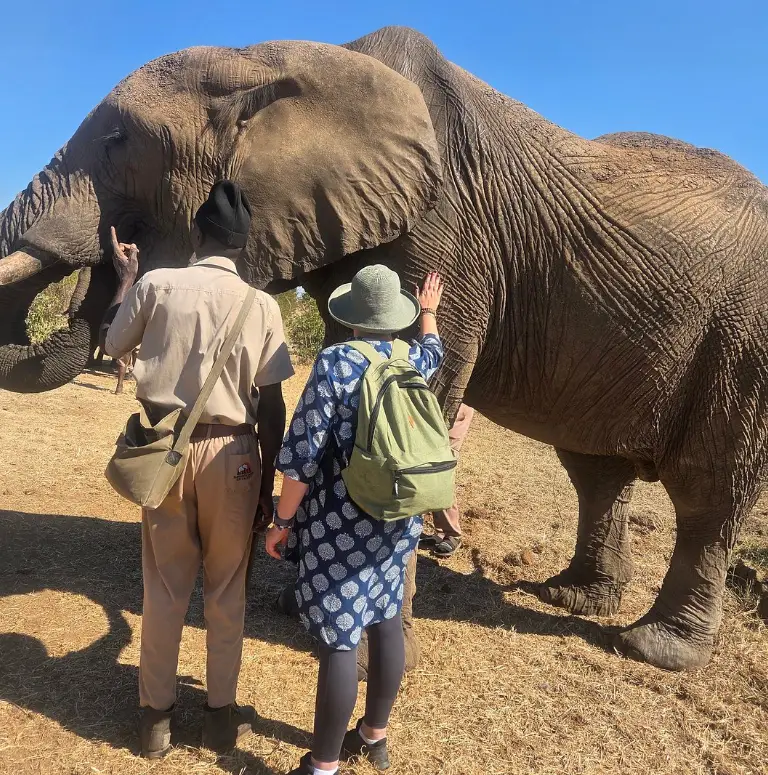 Elephant Interaction