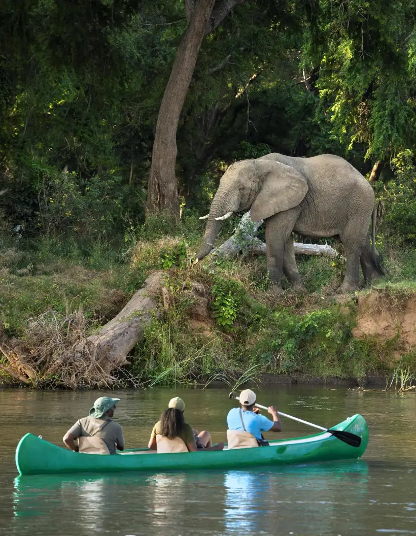 Zambezi National Park Attractions