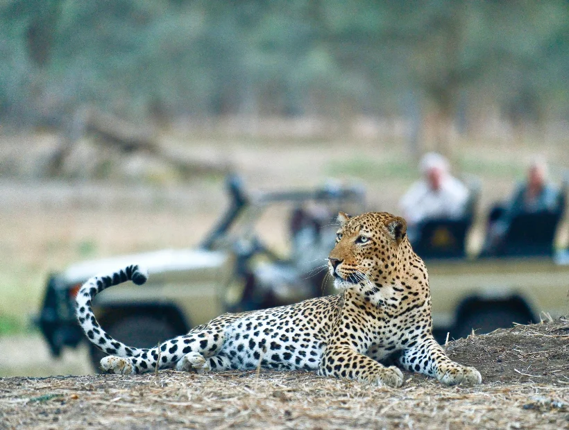 Zambezi National Park Wildlife