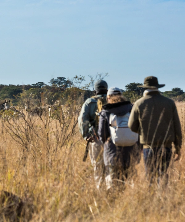 Botswana Bush Walk