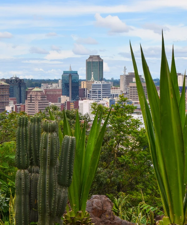 Lusaka City