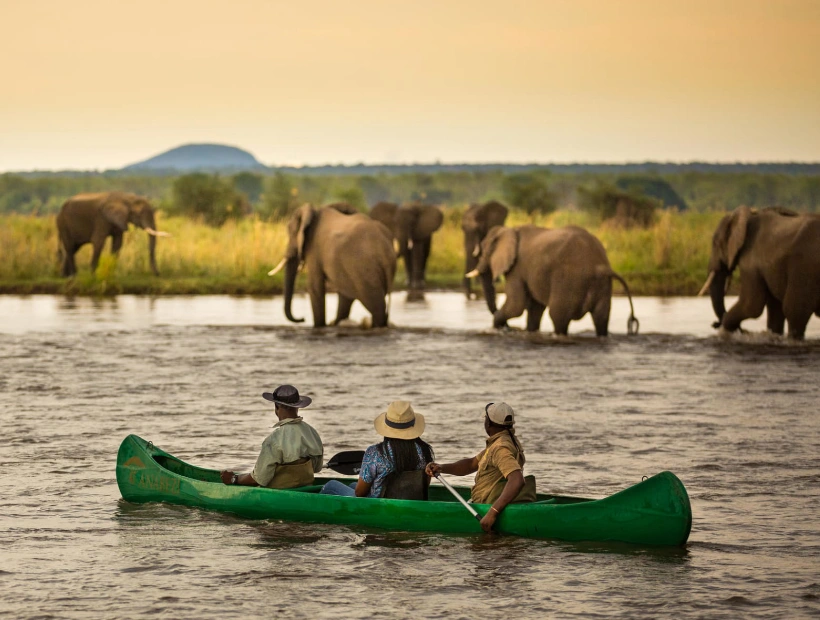 Zambia Wildlife